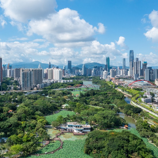 洪湖-翠竹-红岗公园2025年综合管理服务项目