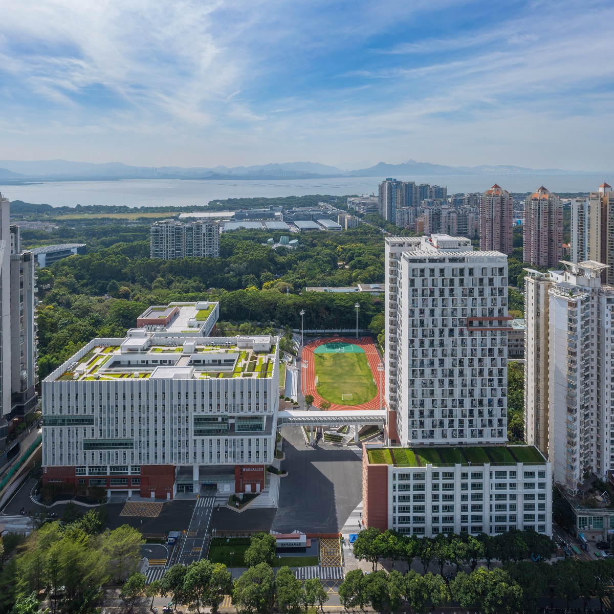 深圳市体育中心改造提升工程项目 (二期) 室外园林景观工程